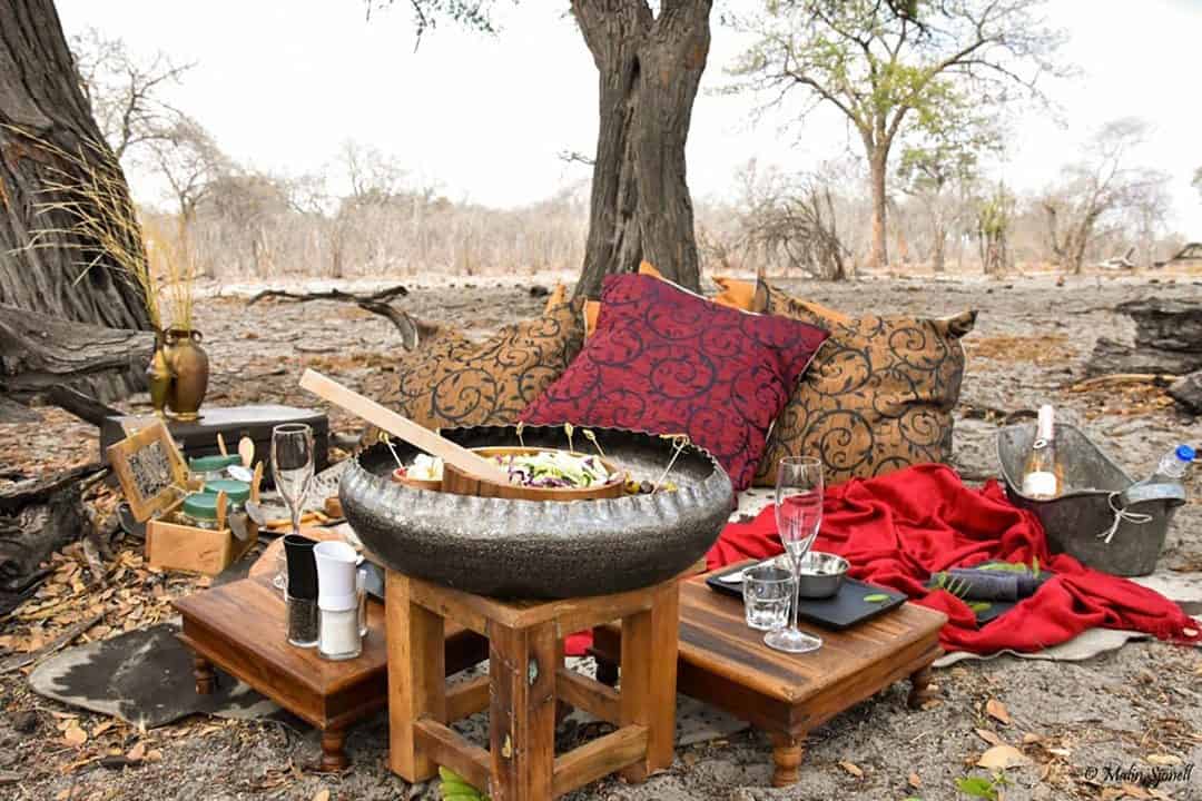 African Monarch Lodges Romantic Bush Picnics