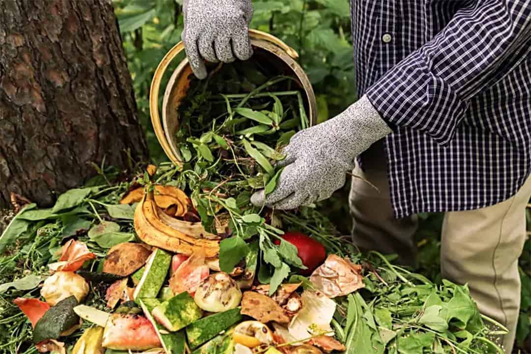 African Monarch Lodges Sijwa Permaculture Project