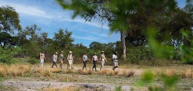 African Monarch Journeys - Bush walk