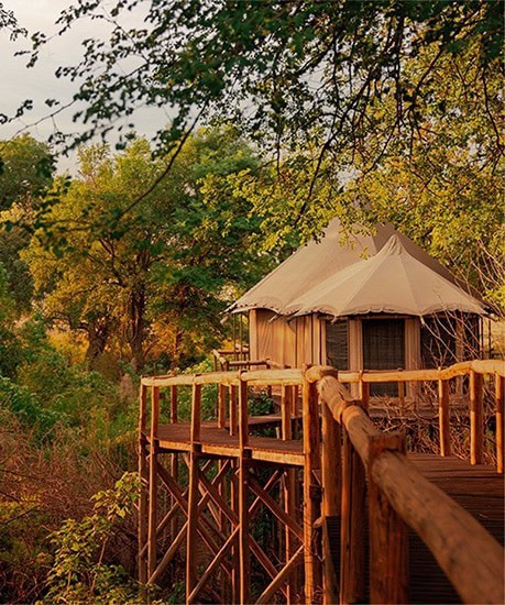 African Monarch Journeys - Nambwa tented Lodge
