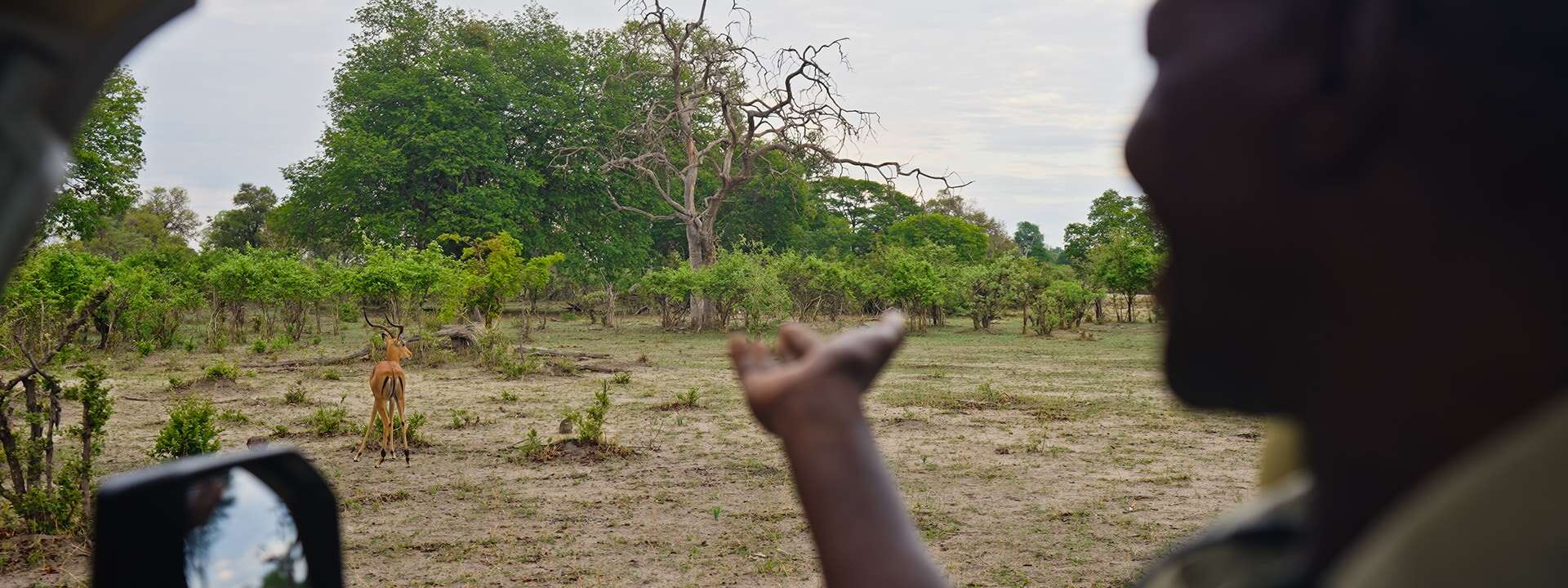 African Monarch Lodges Team