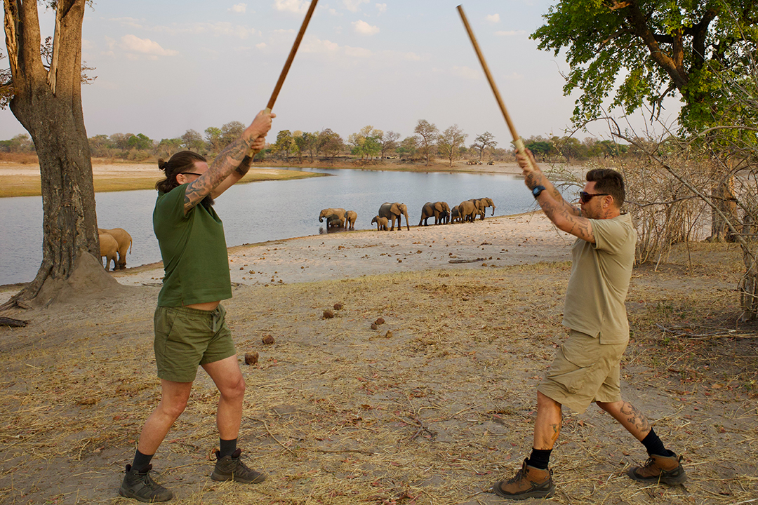 Under The African Sky Retreat